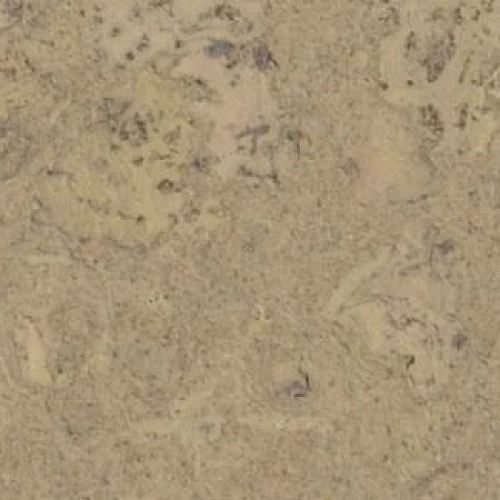 DAWN CHAMPAGNE ПРОБКОВОЕ ПОКРЫТИЕ RUSCORK ПРОБКОВЫЙ ПОЛ ЗАМКОВЫЙ ECO CORK PREMIUM